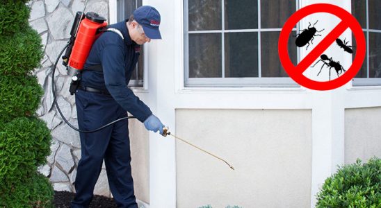 Devrek Dezenfeksiyon böcek ilaçlama ve haşere kontrolü — ilaclama-tr.com